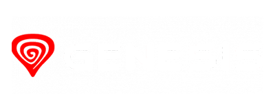 3 - GENESIS