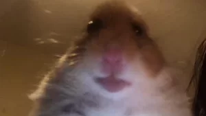 Vojtěch