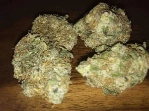 Stoners Non Stop High