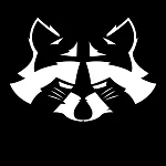 Raccoon Fighters