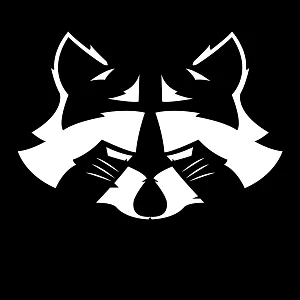 Raccoon Fighters