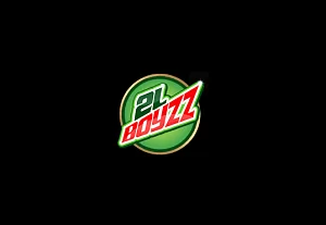 DVOJLITRBOYZZ