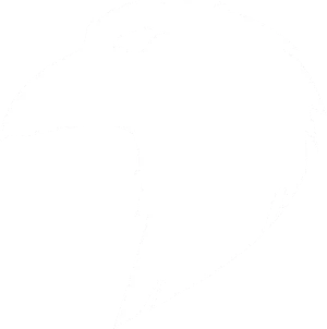 FLY5