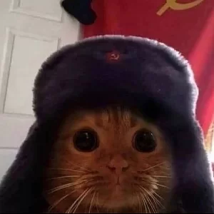 ????????????????????????????????????