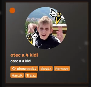 Kočičí konzerva
