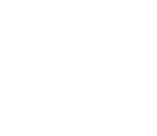Samurai Gaming.png Tým Samurai Gaming