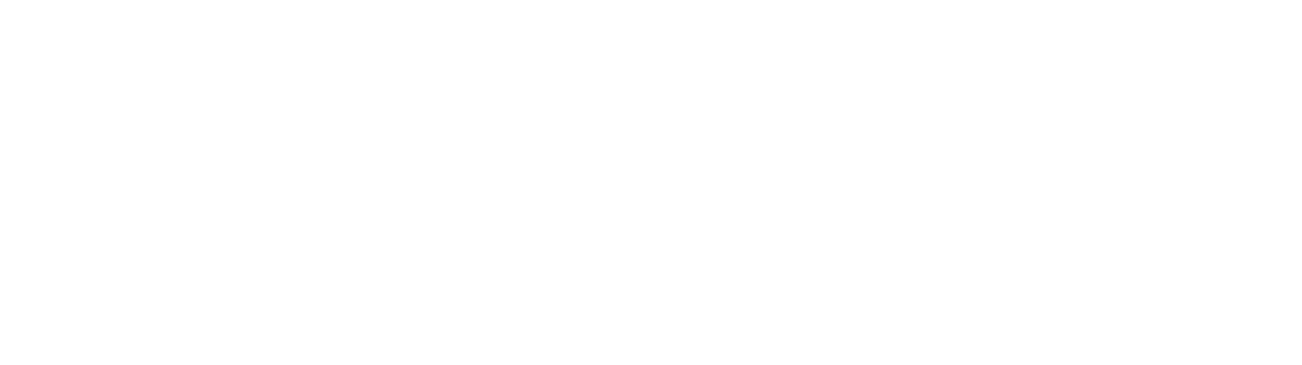 Tým REViTAL GAMING